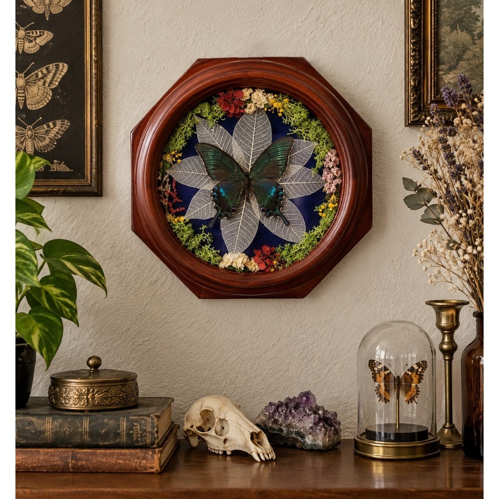 Real Swallowtail Butterfly Taxidermy Convex Bubble Glass Frame Wall Art